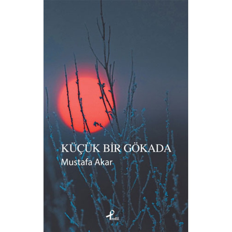 Küçük Bir Gökada Küçük Bir Gökada