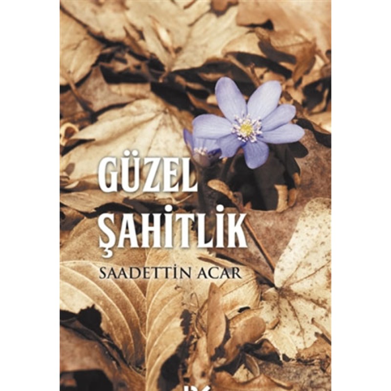 Güzel Şahitlik Güzel Şahitlik