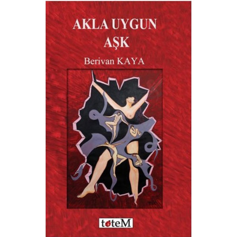 Akla Uygun Aşk Akla Uygun Aşk