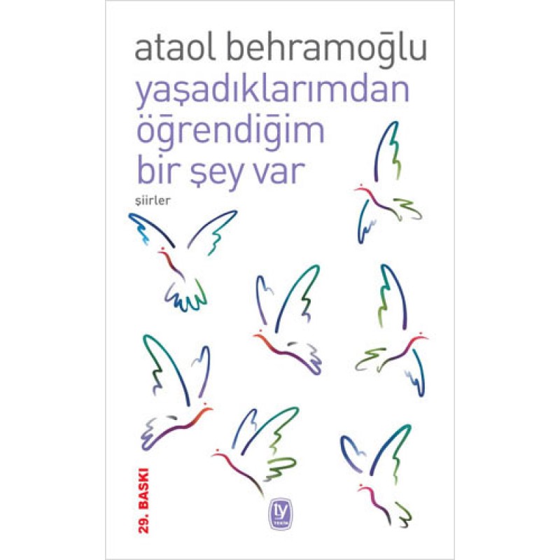 Yaşadıklarımdan Öğrendiğim Bir Şey Var Yaşadıklarımdan Öğrendiğim Bir Şey Var