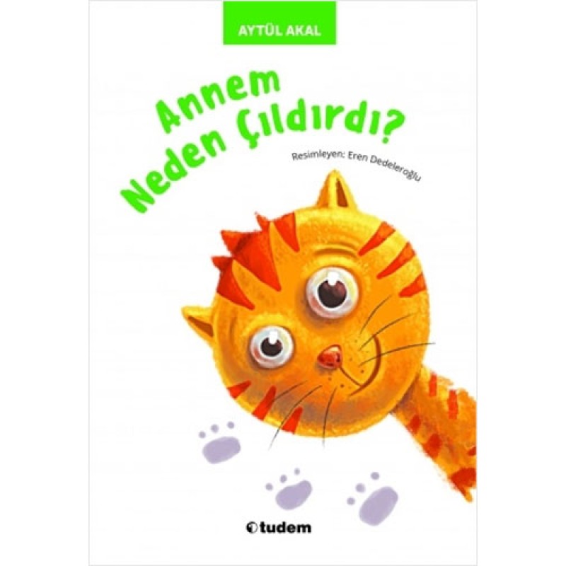 Annem Neden Çıldırdı