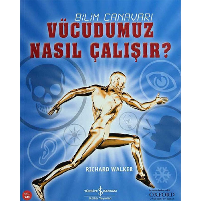 Vücudumuz Nasıl Çalışır? Vücudumuz Nasıl Çalışır?