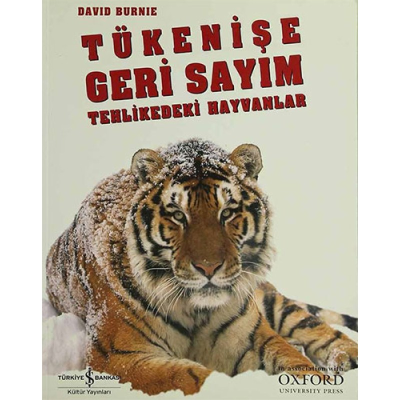 Tükenişe Geri Sayım Tükenişe Geri Sayım