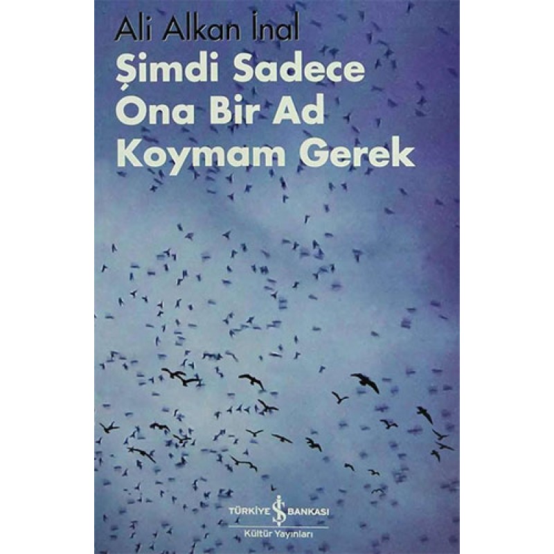 Şimdi Sadece Ona Bir Ad Koymam Gerek Şimdi Sadece Ona Bir Ad Koymam Gerek